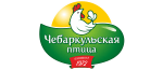 Чебаркульская птица