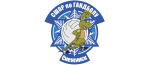 СШОР по гандболу Снежинск